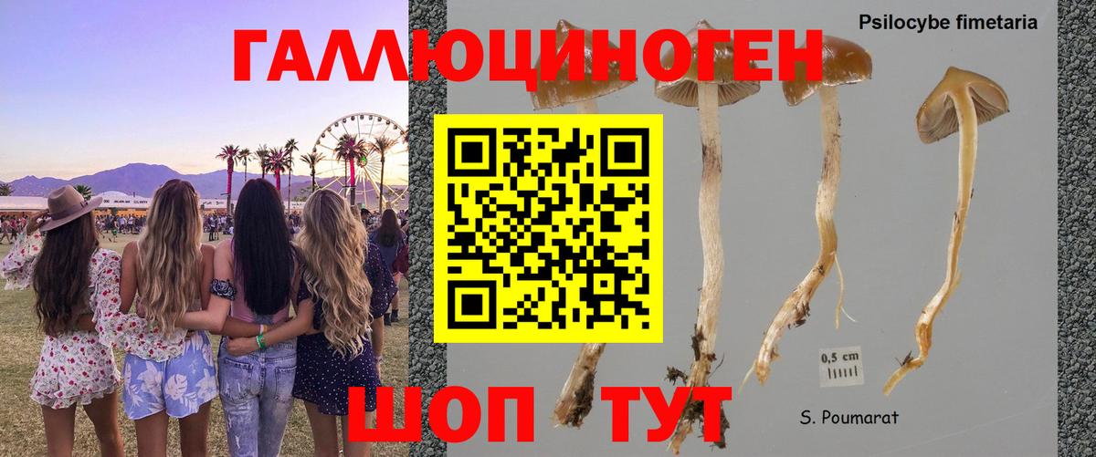 Галлюциногенные грибы Magic Shrooms  Вход с VPN  Артёмовский 